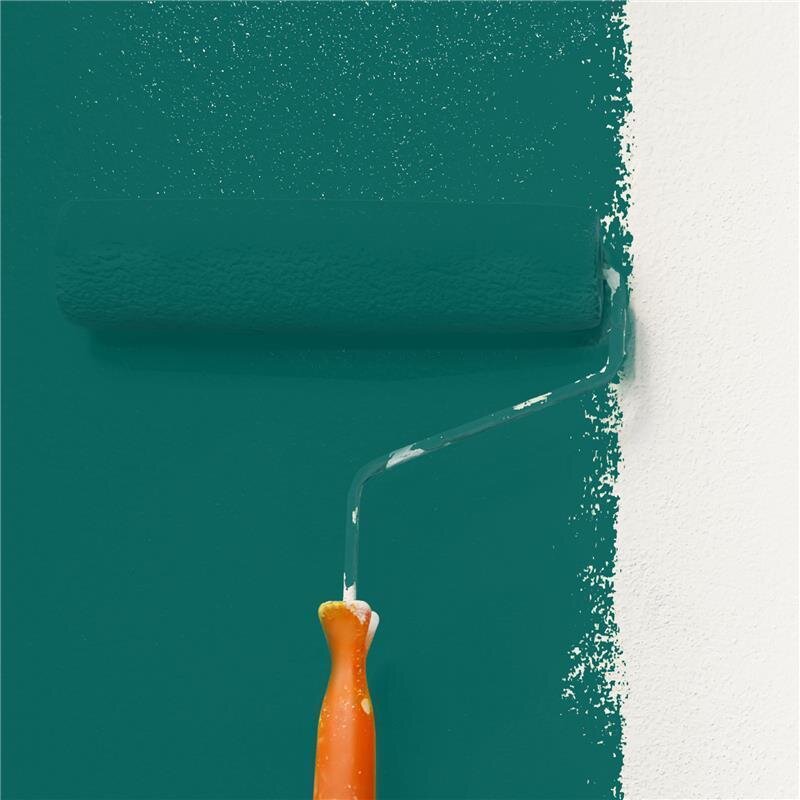 Wandfarbe NCS-S-4550-B50G Tiefseegrün von Wallcover Colors