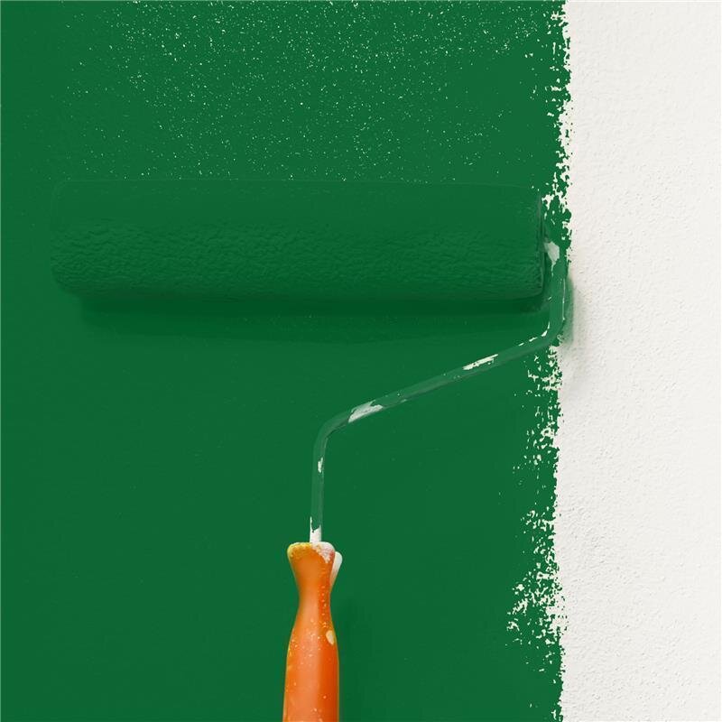 Wandfarbe NCS-S-4550-G10Y Frühlingswald von Wallcover Colors