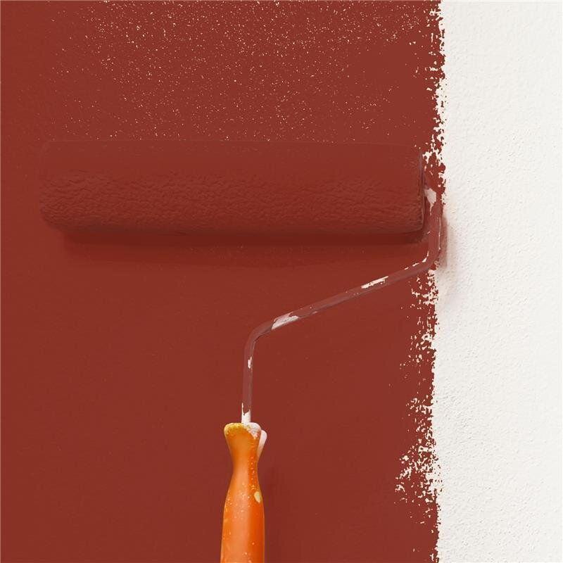 Wandfarbe NCS-S-4550-Y80R Amberglanz von Wallcover Colors