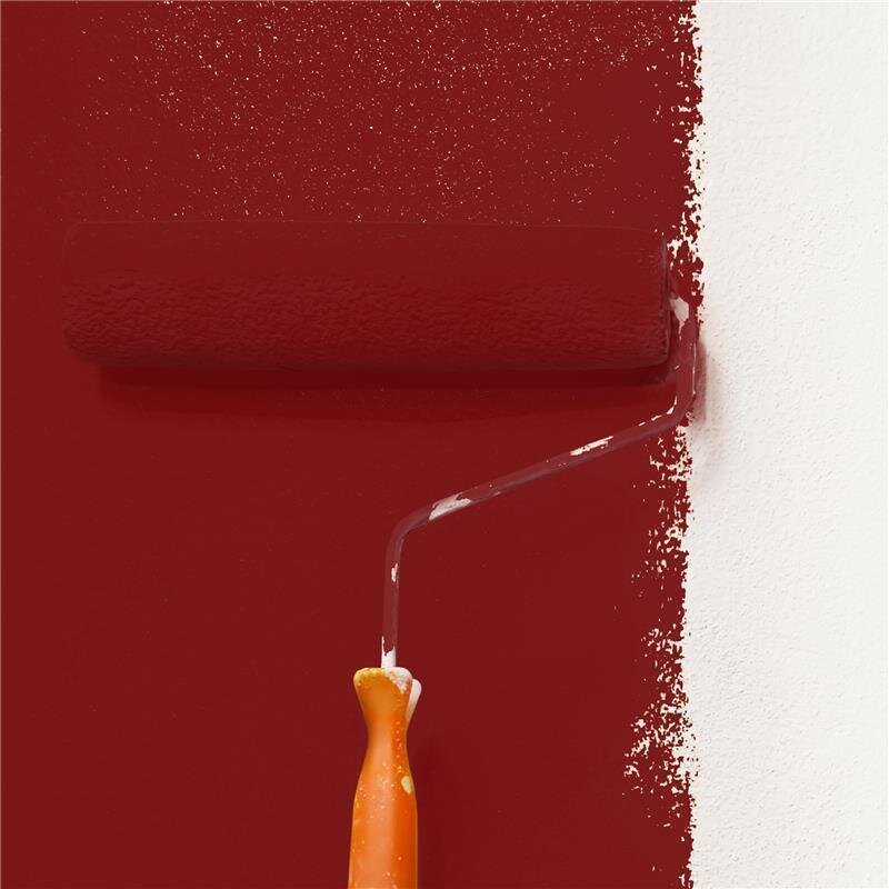 Wandfarbe NCS-S-4550-Y90R Herbstrot von Wallcover Colors
