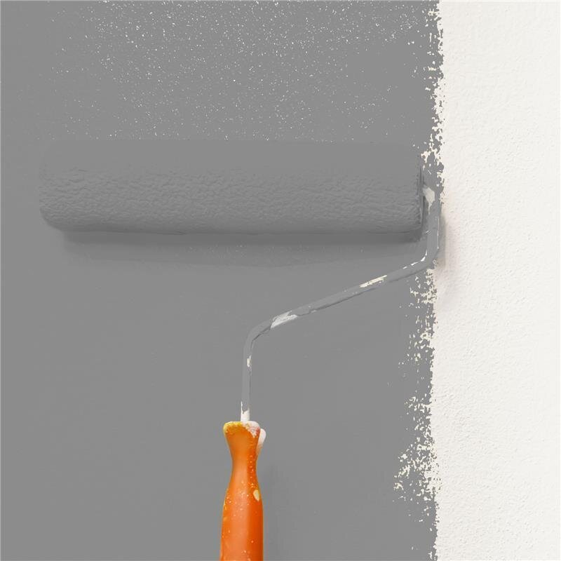 Wandfarbe NCS-S-5000-N Elegantes Grau von Wallcover Colors