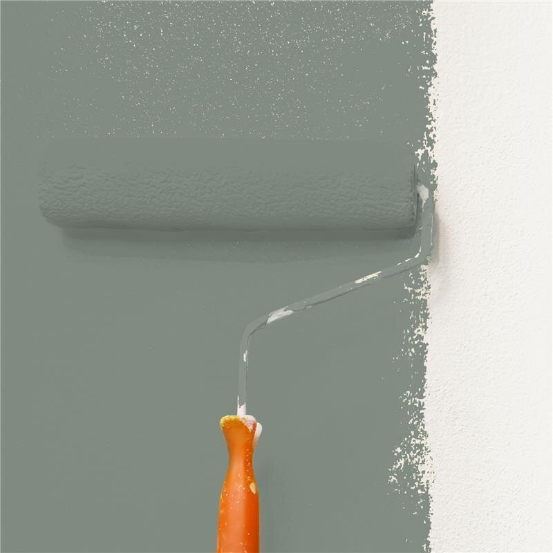 Wandfarbe NCS-S-5005-G20Y Grüner Hauch von Wallcover Colors