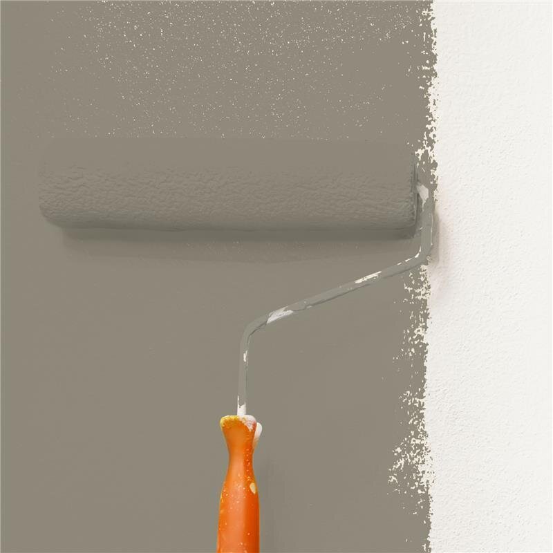 Wandfarbe NCS-S-5005-Y Morgensonnenstrahl von Wallcover Colors