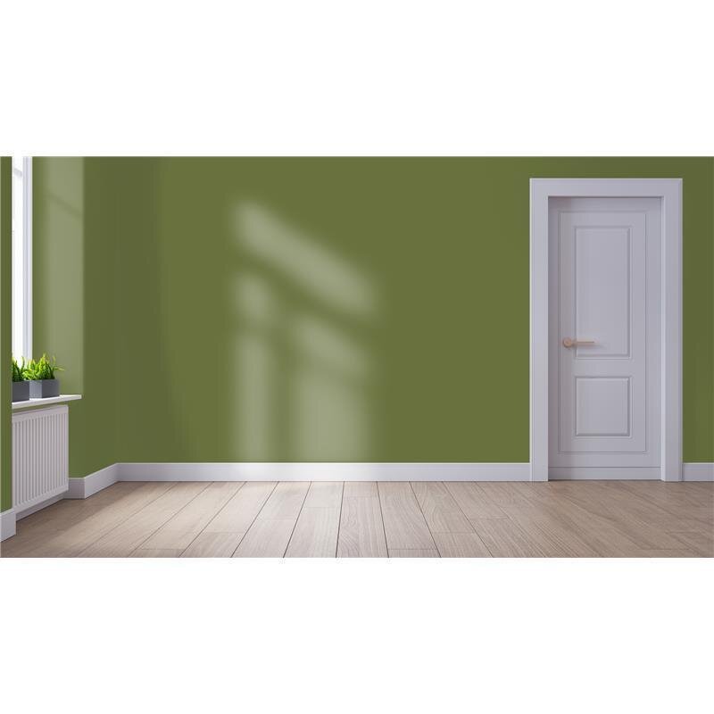 Wandfarbe NCS-S-5030-G50Y Waldsonne von Wallcover Colors