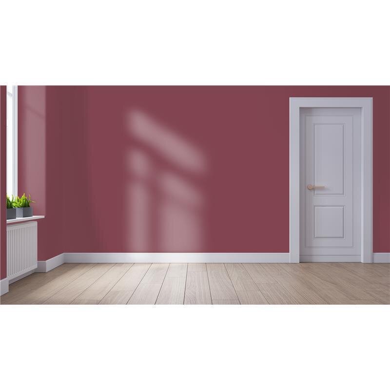 Wandfarbe NCS-S-5030-R10B Rosenholz von Wallcover Colors