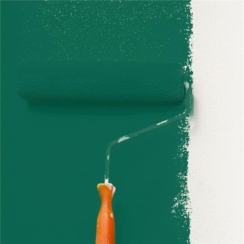 Wandfarbe NCS-S-5040-B90G Meeresstille von Wallcover Colors