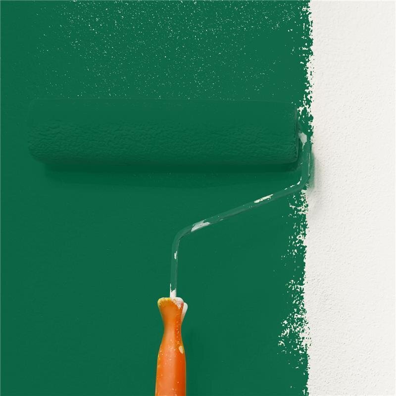 Wandfarbe NCS-S-5040-G Waldfrische von Wallcover Colors