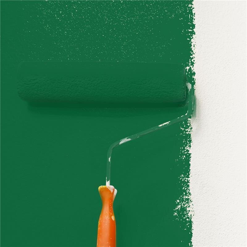 Wandfarbe NCS-S-5040-G10Y Waldsonne von Wallcover Colors