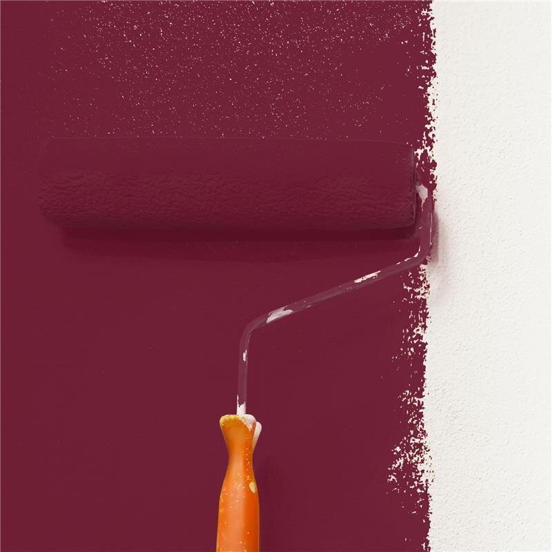 Wandfarbe NCS-S-5040-R10B Rubinrot von Wallcover Colors