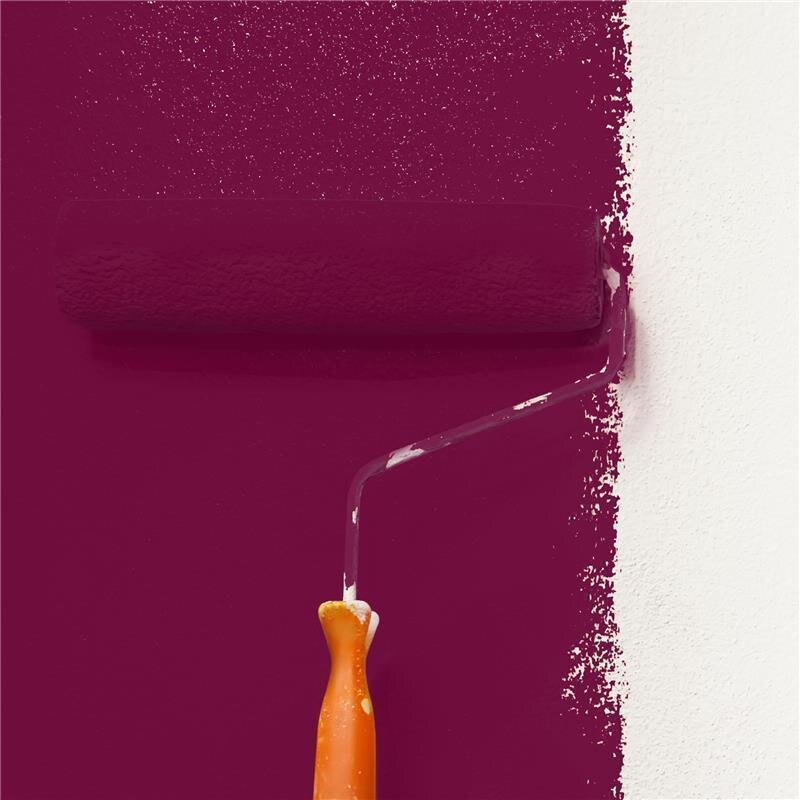 Wandfarbe NCS-S-5040-R20B Rubinrote Eleganz von Wallcover Colors