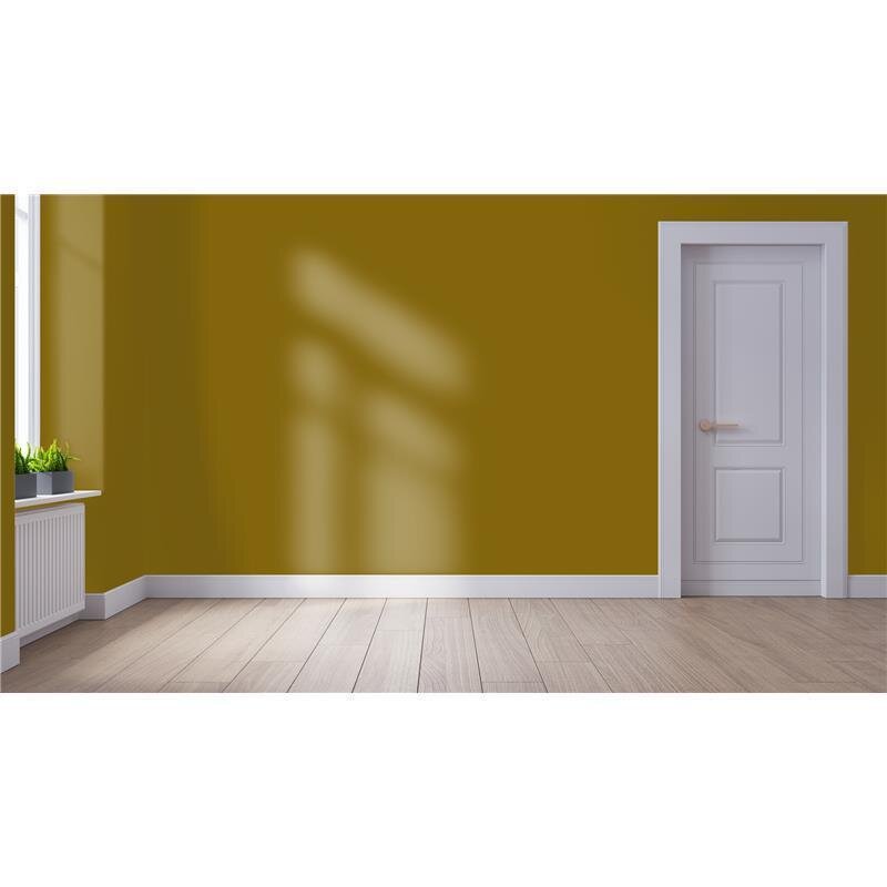 Wandfarbe NCS-S-5040-Y Sonnengold von Wallcover Colors