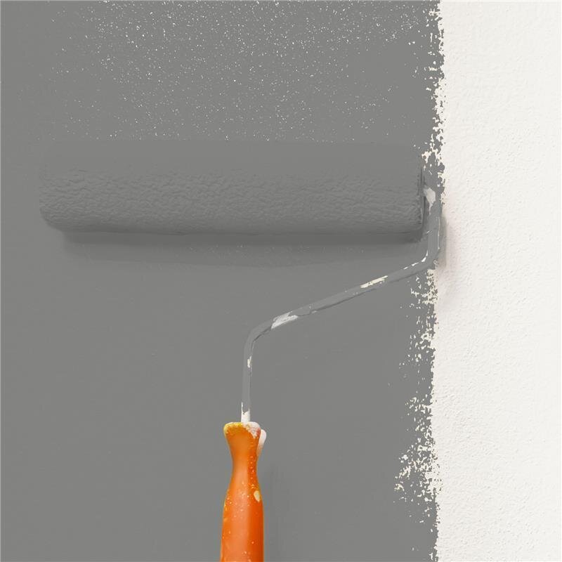 Wandfarbe NCS-S-5500-N Nebelschleier von Wallcover Colors