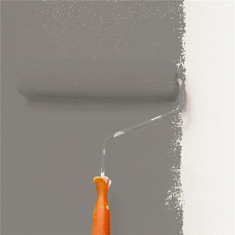 Wandfarbe NCS-S-5502-Y50R Abendrot-Eleganz von Wallcover Colors