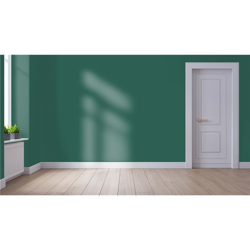 Wandfarbe NCS-S-6020-B90G Morgenfrische von Wallcover Colors
