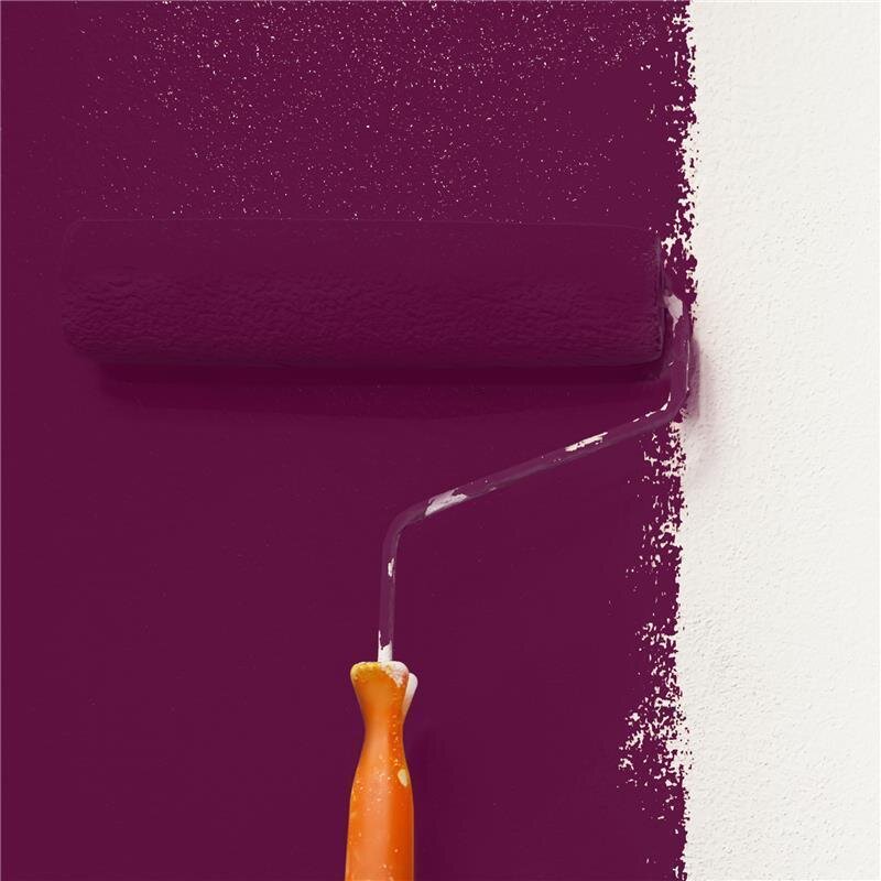 Wandfarbe NCS-S-6030-R30B Rubinrot von Wallcover Colors