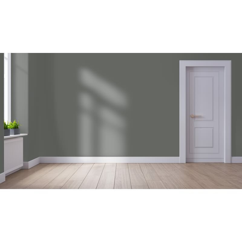 Wandfarbe NCS-S-6502-G50Y Eleganzgrau von Wallcover Colors