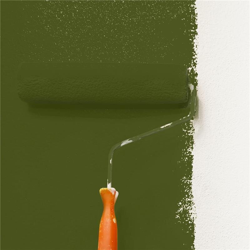 Wandfarbe NCS-S-6530-G50Y Waldgrün von Wallcover Colors