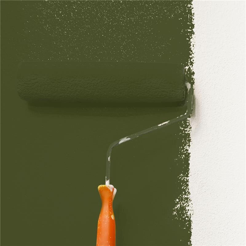 Wandfarbe NCS-S-7020-G50Y Elegantes Moos von Wallcover Colors