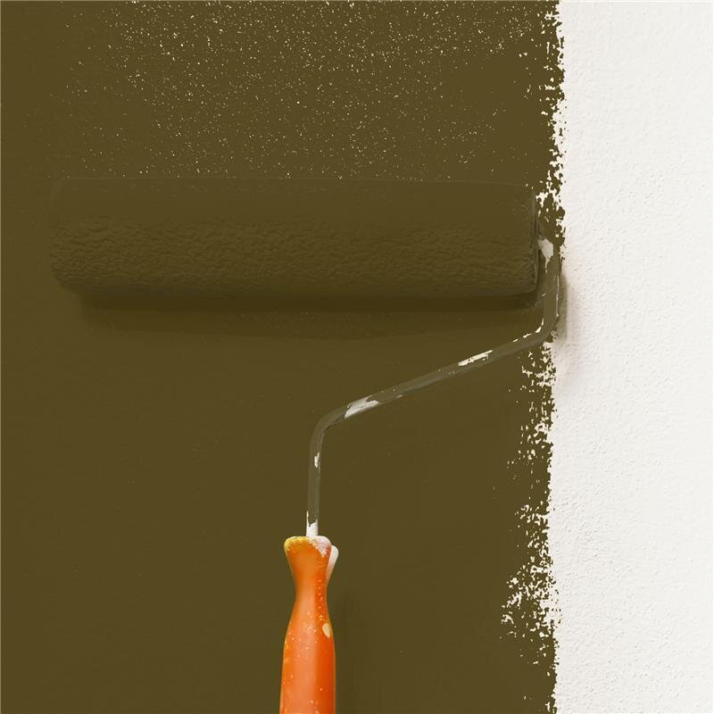 Wandfarbe NCS-S-7020-G90Y Moosgrün von Wallcover Colors