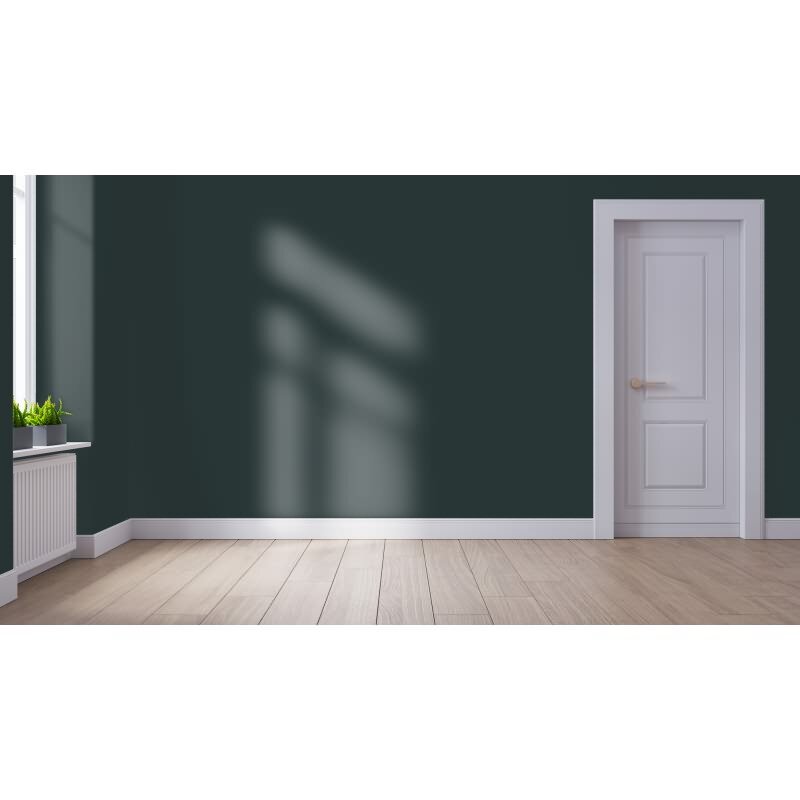 Wandfarbe NCS-S-8005-B50G Nebelmorgen von Wallcover Colors