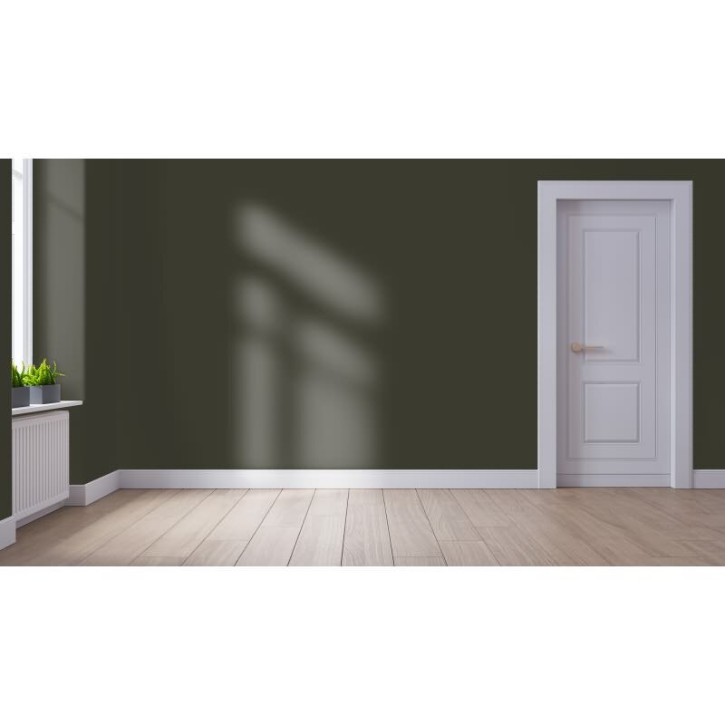 Wandfarbe NCS-S-8005-G80Y Mooswald von Wallcover Colors