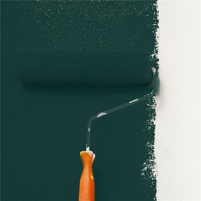 Wandfarbe NCS-S-8010-B70G Ozeanblau von Wallcover Colors