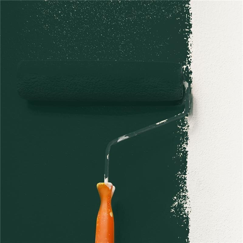 Wandfarbe NCS-S-8010-B90G Mitternachtsblau von Wallcover Colors