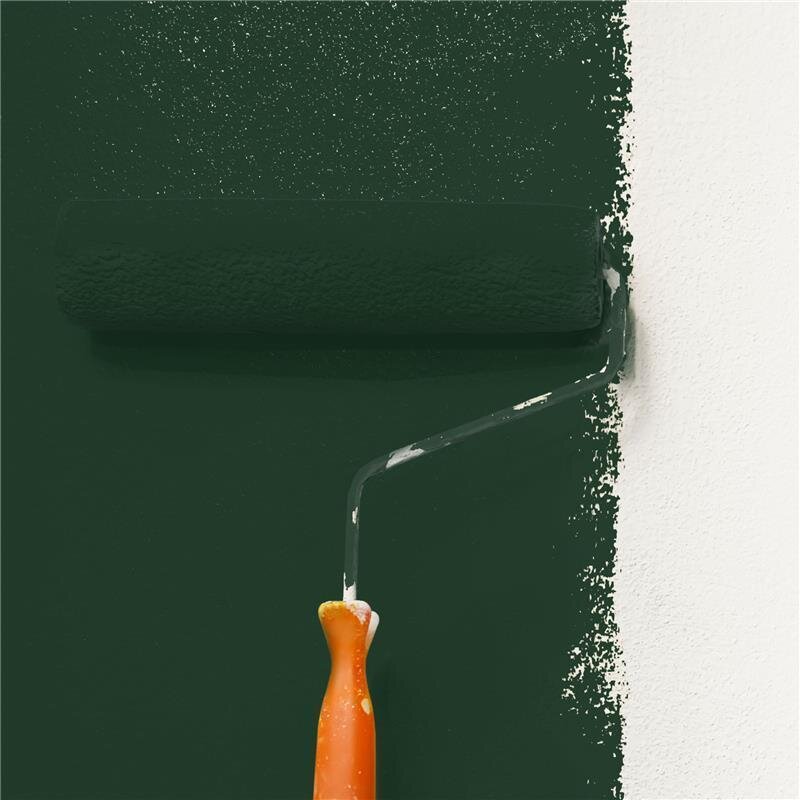 Wandfarbe NCS-S-8010-G10Y Olivgrün Oase von Wallcover Colors