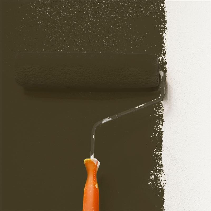 Wandfarbe NCS-S-8010-G90Y Waldspaziergang von Wallcover Colors