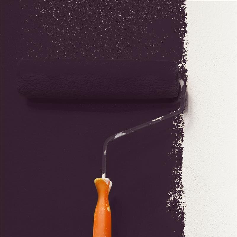 Wandfarbe NCS-S-8010-R30B Elegantes Rubinrot von Wallcover Colors