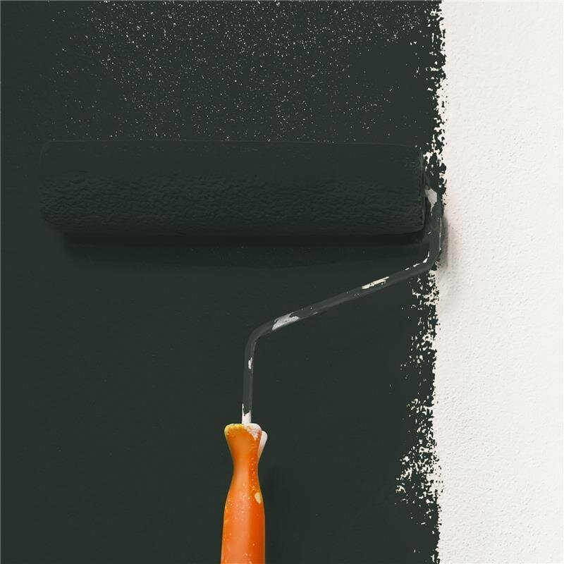 Wandfarbe NCS-S-8502-G Waldgeheimnis von Wallcover Colors