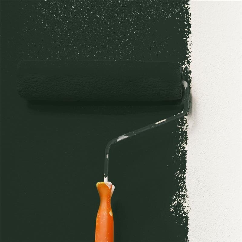 Wandfarbe NCS-S-8505-G20Y Moosgrün von Wallcover Colors