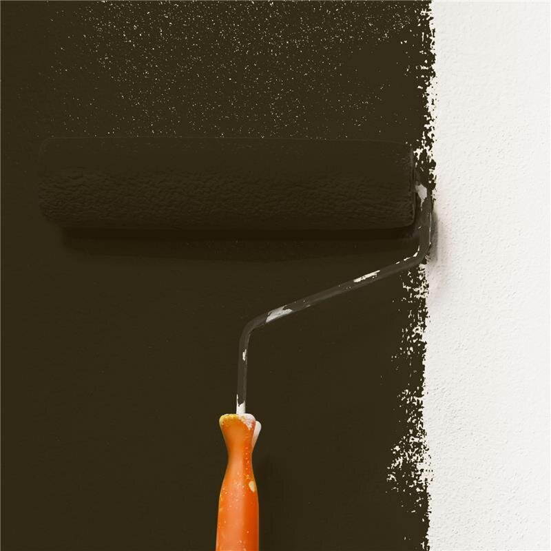 Wandfarbe NCS-S-8505-Y Goldene Erde von Wallcover Colors