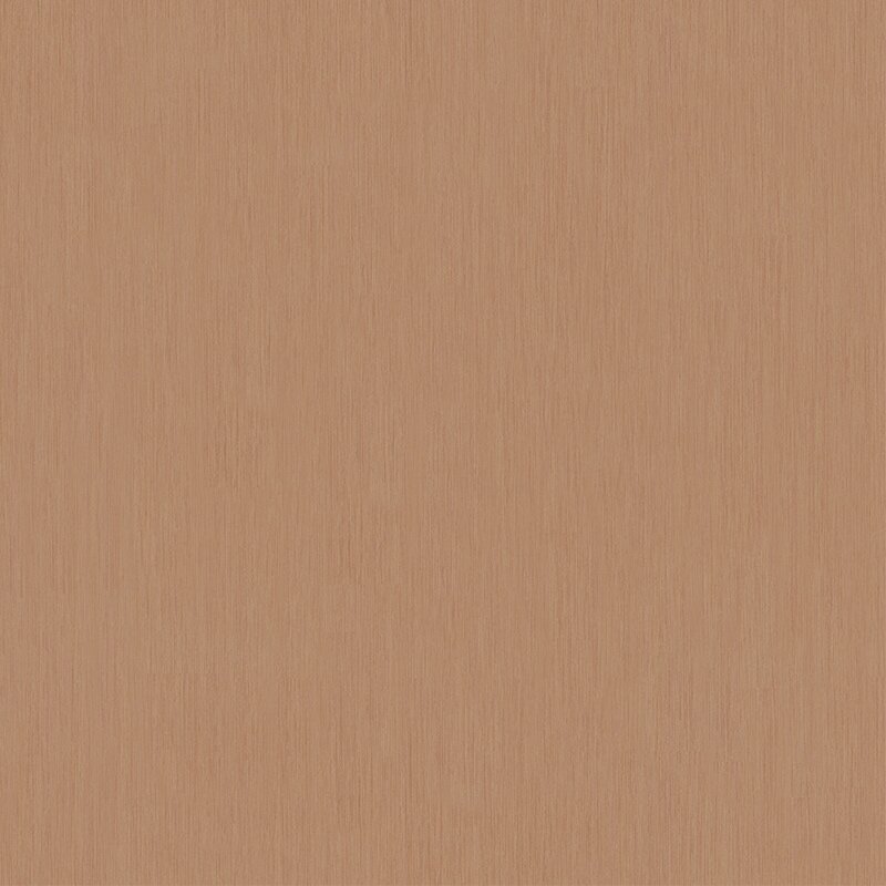 Tapete Braun Dieter Langer Vliestapete (1033240)