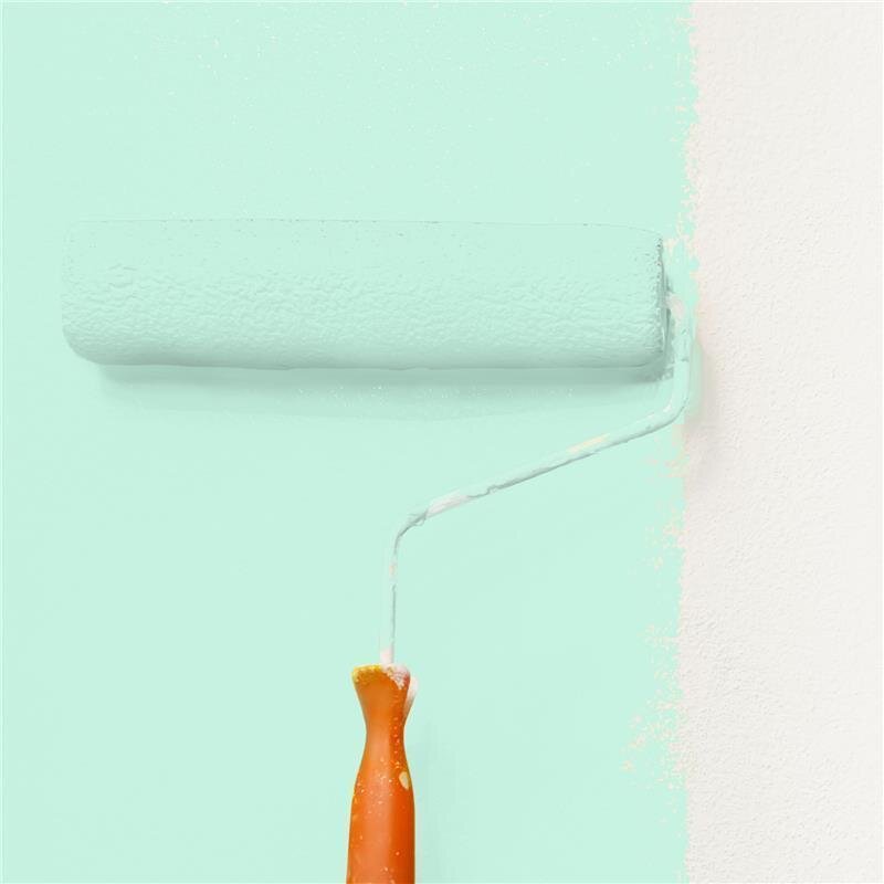 Wandfarbe NCS-S-0520-B90G Morgenfrische von Wallcover Colors 1 Liter