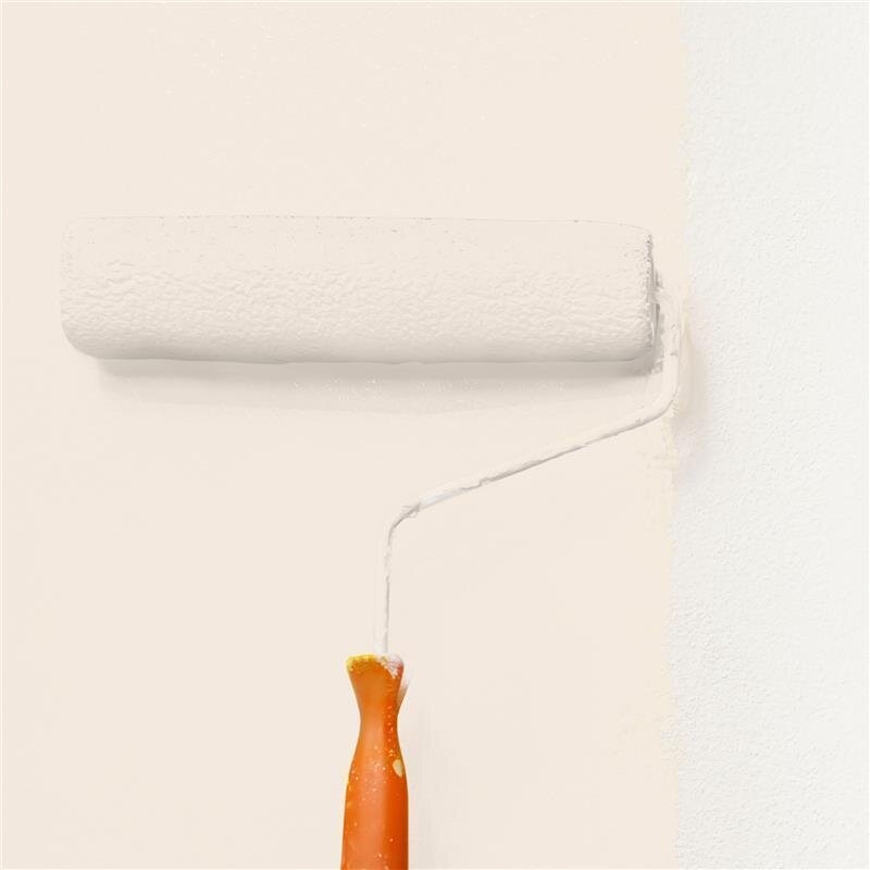 Wandfarbe NCS-S-0804-Y50R Aprikosenhauch von Wallcover Colors 1 Liter