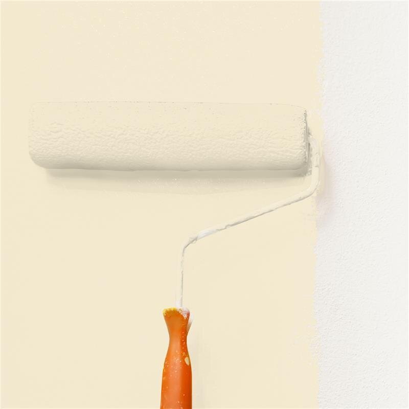 Wandfarbe NCS-S-0907-Y10R Sanfte Eleganz von Wallcover Colors 1 Liter
