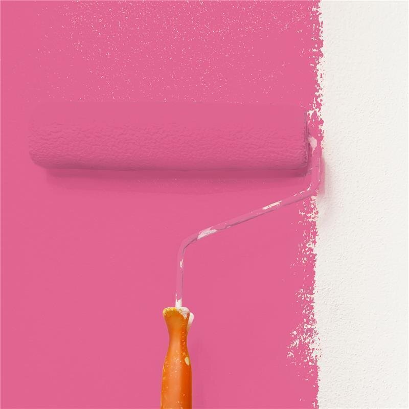 Wandfarbe NCS-S-1060-R20B Sonnenuntergangsrot von Wallcover Colors 2.5 Liter