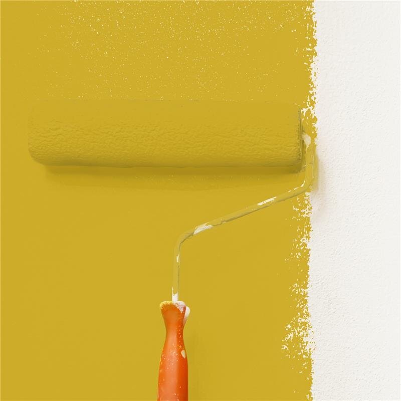 Wandfarbe NCS-S-2060-Y Sonnengold von Wallcover Colors 2.5 Liter