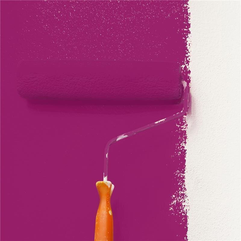 Wandfarbe NCS-S-3055-R30B Rubinrote Eleganz von Wallcover Colors 2.5 Liter