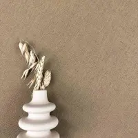 Tapete Braun AS-Creation Vliestapete (1018711)