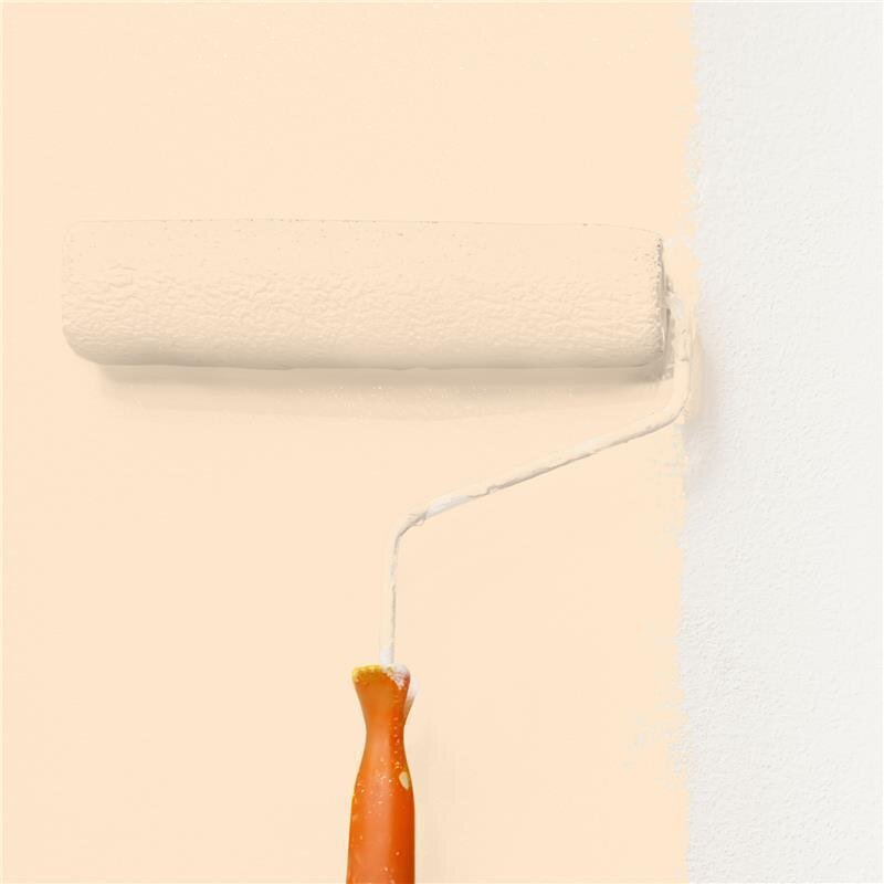 Wandfarbe NCS-S-0510-Y40R Sonnengold von Wallcover Colors 5 Liter