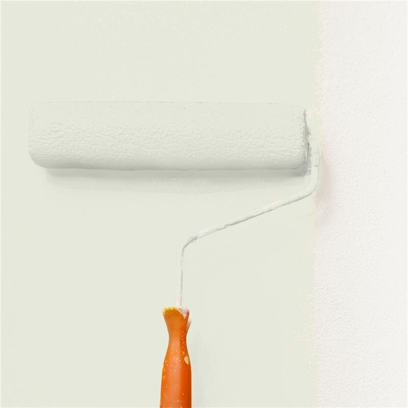 Wandfarbe NCS-S-1005-G60Y Frühlingshauch von Wallcover Colors 5 Liter