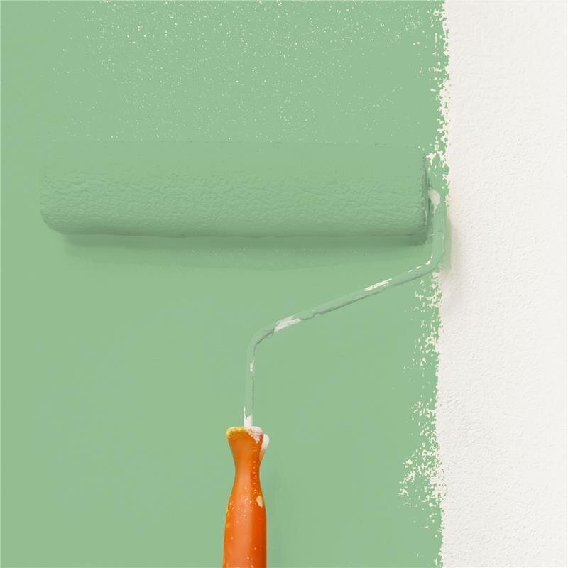 Wandfarbe NCS-S-2030-G20Y Frühlingsgrün von Wallcover Colors 5 Liter