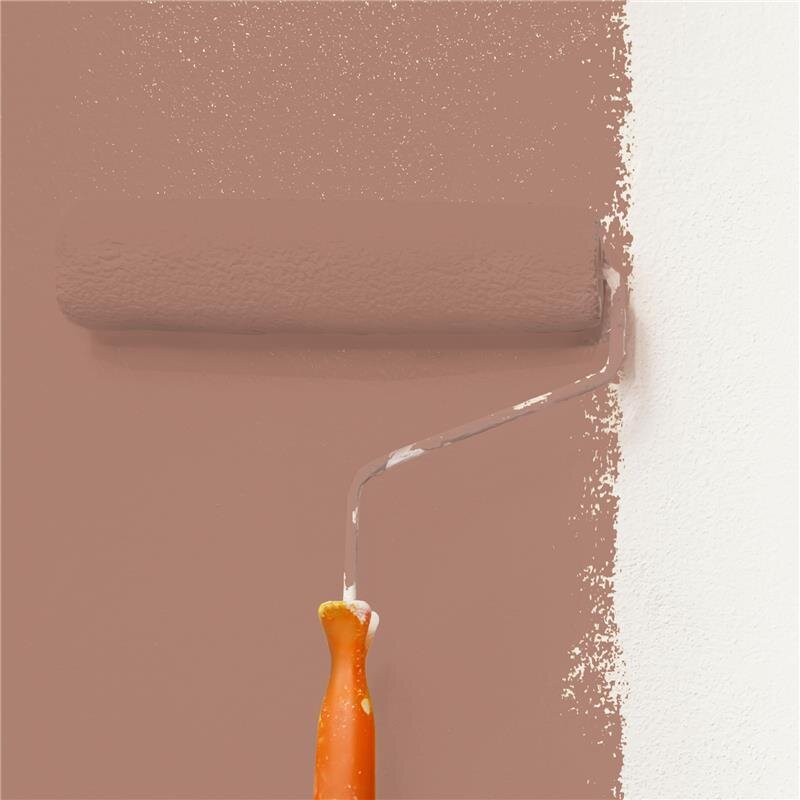 Wandfarbe NCS-S-4020-Y70R Elegante Wärme von Wallcover Colors 5 Liter