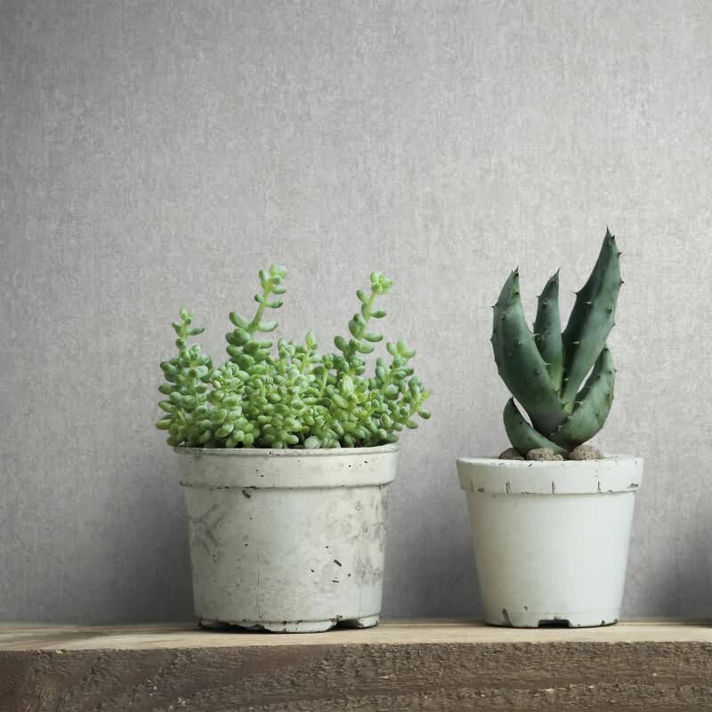 Tapete Grau, Silber, Marburg Vliestapete (KG-171359)