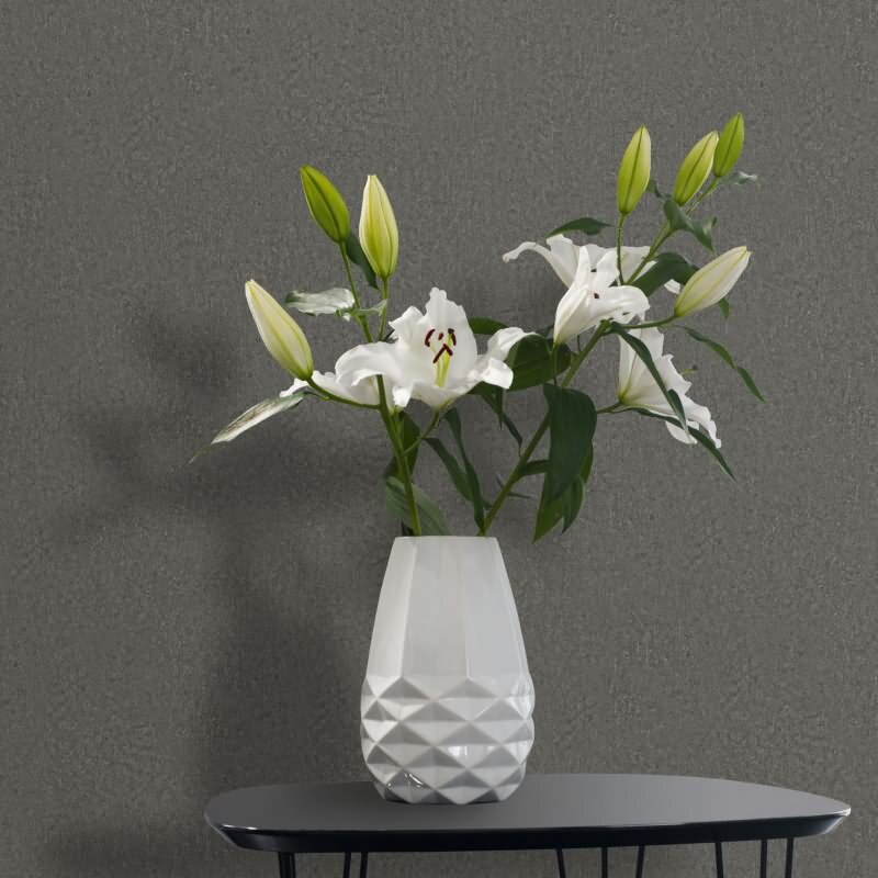 Vliestapete in Grau Strukturierte Putzoptik Uni für Wohnzimmer Schlafzimmer Küche (KG-171472)