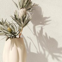 Vliestapete in Beige Strukturierte Putzoptik Uni f&uuml;r...