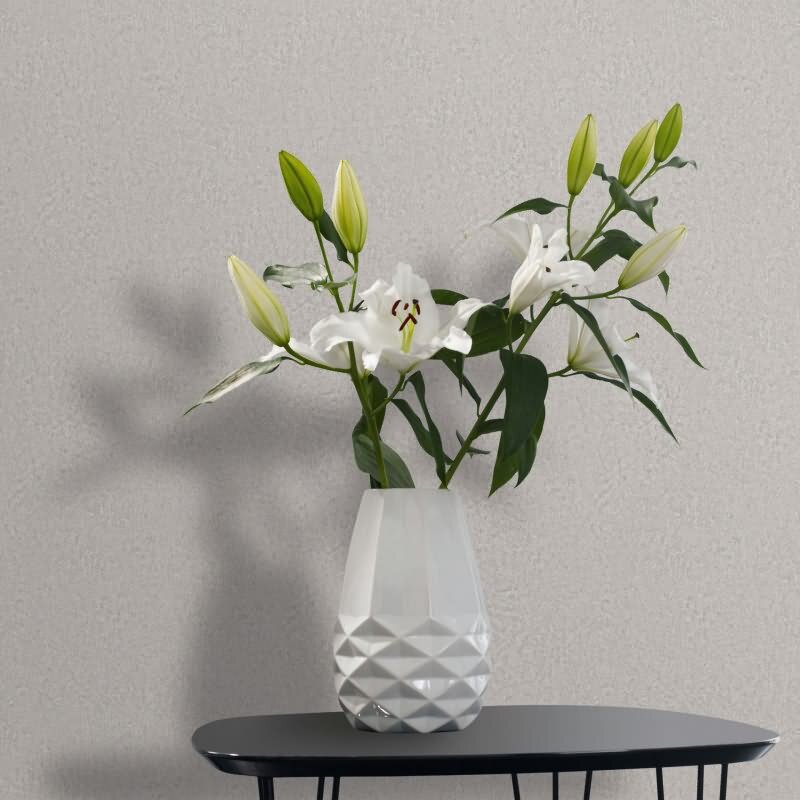 Vliestapete in Grau, Weiß Strukturierte Putzoptik Uni für Wohnzimmer Schlafzimmer Küche (KG-171479)