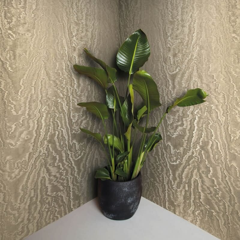 Vliestapete in schimmernder Marmoroptik gold Metalloptik (KG-171506)